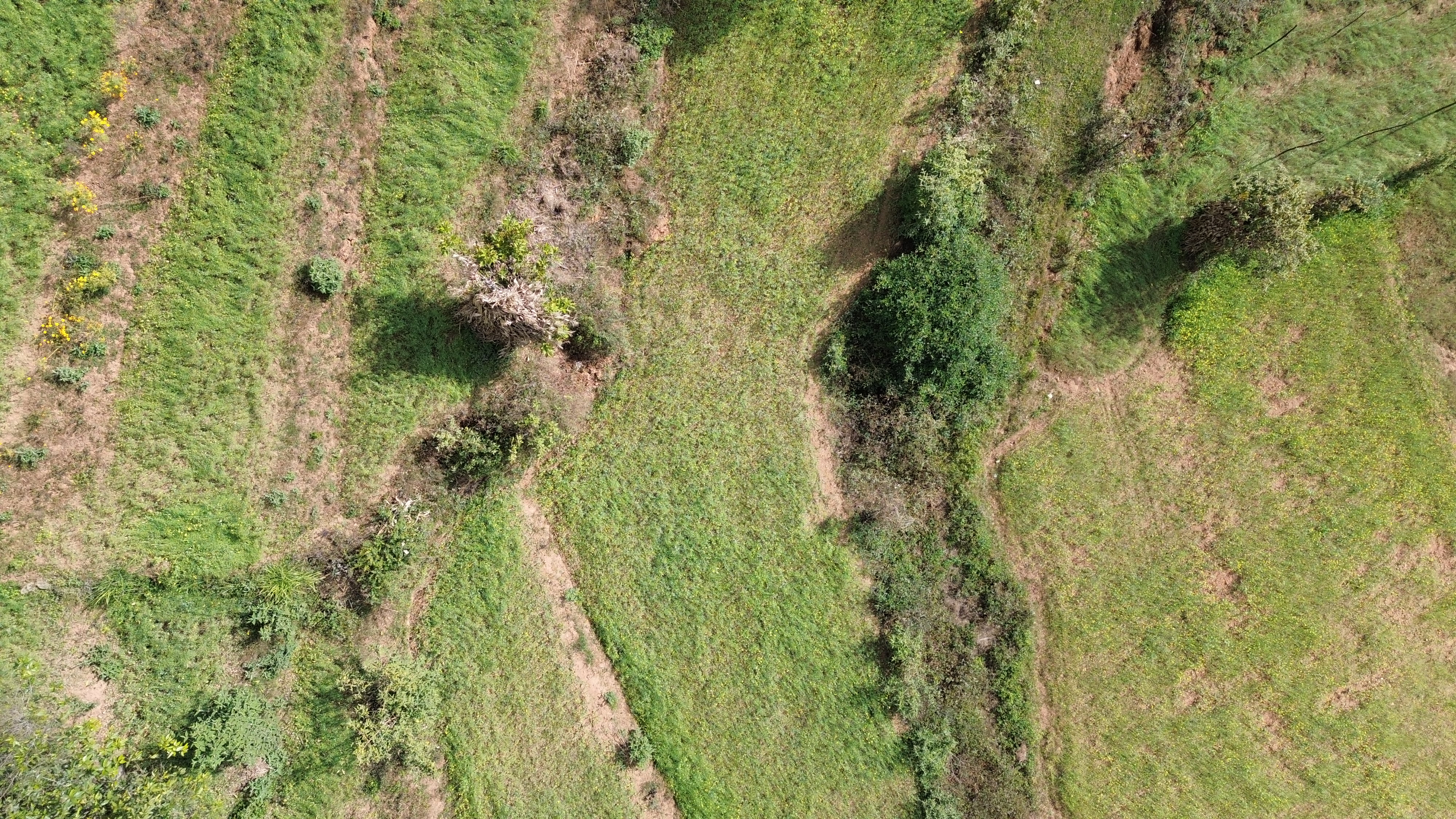 Land